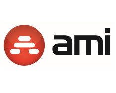 Java developer/IDM specialista